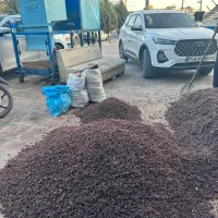 کشمش ومویز خرما مخصوص آبگیری همراه باچرخ گوشت|خوردنی و آشامیدنی|کرمانشاه, |دیوار