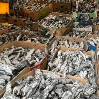 زغال پسته سفید سنتی