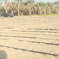پمپ موتور برقی اجاره‌ای
