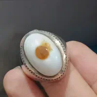 باباقوری سفید کمیاب