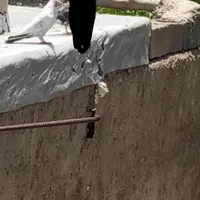 گم شده