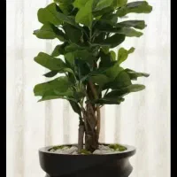 درختچه مصنوعی|گل مصنوعی|پرند, فاز ۴|دیوار