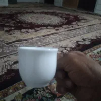 فنجان قهوه خوری