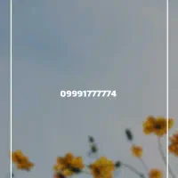 خط رند دائمی طلایی 09991777774