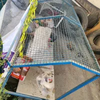 میز مخصوص میوه فروشی|فروشگاه و مغازه|جوانرود, |دیوار