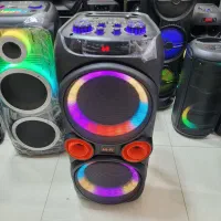 اسپیکر چمدانی حرفه ایی زد کیو اس