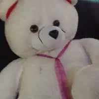 سلام فروش خرس بزرگ