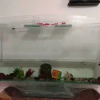 آکواریم بزرگ مناسب خانه و مغازه و رستوران