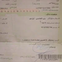 برگ سبز پیدا شده