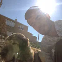 قیمت 3000|سگ|بوکان, |دیوار