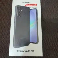 a36 256g