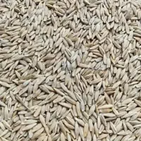 جو و کنسانتره