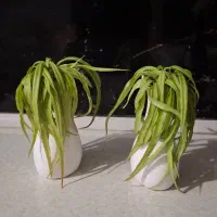 ظروف پذیرایی همه|ظروف سرو و پذیرایی|مشهد, انقلاب|دیوار