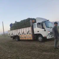 فروش نقدی