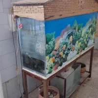 اکواریوم باپایه ودرب چوبی