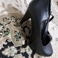 کفش مجلسی