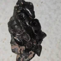 سنگ قیمتی|کلکسیون اشیاء عتیقه|تهران, میدان ولیعصر|دیوار