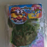 استخدام خانم در کارگاه بسته بندی