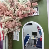 شهربازی پاستیلیا|اسباب‌‌بازی|سقز, |دیوار