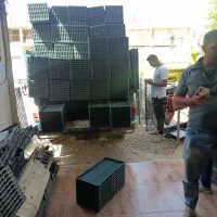 سینی نشا|عمده‌فروشی|شیراز, گویم|دیوار