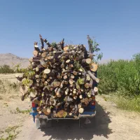 خرید برش انواع چوب|خدمات باغبانی و درختکاری|نهاوند, |دیوار