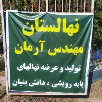 گردو پیوندی پایه ژنوتیپ پیوند چندلر.وفرنور|خدمات باغبانی و درختکاری|کرمان, |دیوار