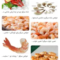 میگو و ماهی بوشهر