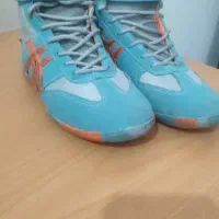 کفش کشتی سالم