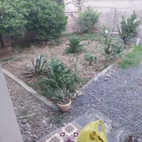 اجاره روزانه سوئیت ویلا دربست|اجارهٔ کوتاه‌مدت آپارتمان و سوئیت|آمل, |دیوار