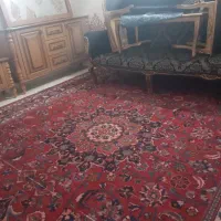 قالی فرش دستباف|فرش|گلبهار, شهر جدید گلبهار|دیوار