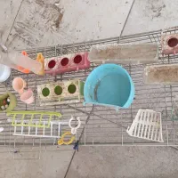 قفس پرنده|لوازم جانبی حیوانات|حمیدیا, |دیوار