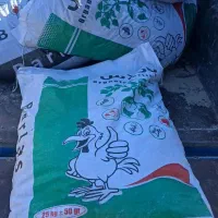 کودمرغی به قیمت عمده