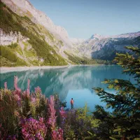 حسابدار حرفه‌ای