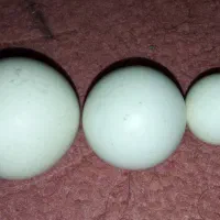 الماس اسیاب