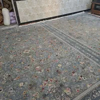 فرش ۲متر از ۳ متر|فرش|بانه, |دیوار