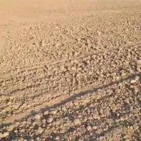 اجاره هفتاد هکتار زمین کشاورزی با آب و پمپ برقی|اجارهٔ دفتر صنعتی، کشاورزی، تجاری|رودبار (کرمان), |دیوار