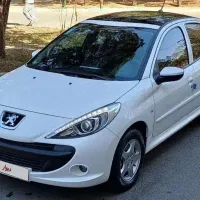 207 پانا پلاس خشک ۱۴۰۴