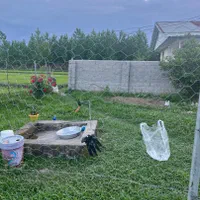 فروش زمین مسکونی ۲۷۵متری مسکونی|فروش زمین و ملک کلنگی|شاندرمن, |دیوار