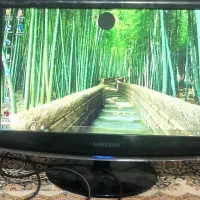 مانیتور سامسونگ 19اینچ
