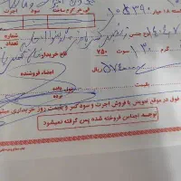 زنجیر و گوشواره حلقه ای طلا|جواهرات|بروجرد, |دیوار