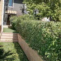 باغبانی|خدمات باغبانی و درختکاری|کرمانشاه, |دیوار