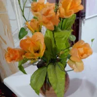 ضبط صوت وچند تا گلدون|حراج|رشت, شهرک صبا|دیوار