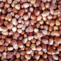 سنجد تازه شیرین|خوردنی و آشامیدنی|شاهین دژ, |دیوار