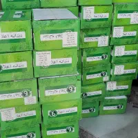 دندانه گردو برای مصارف قنادیا بستنی فروشی باقلوا