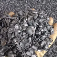 فروش کربن پسته