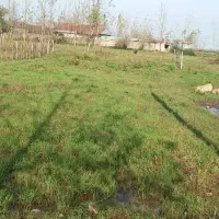 فروش-زمین
