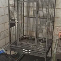 قفس بزرگ برای کاسکو و کاکادو و طوطی سان ها