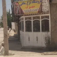 مغازه-مرغ-و-ماهی