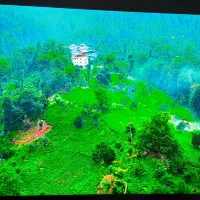 تلویزیون65 اینچ LG QNED 90|تلویزیون و پروژکتور|اندیشه, اندیشه فاز ۴|دیوار