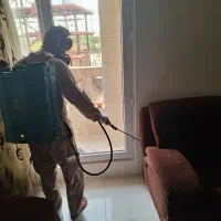 سم پاشی ساختمان|خدمات نظافت|بندر کنگان, |دیوار